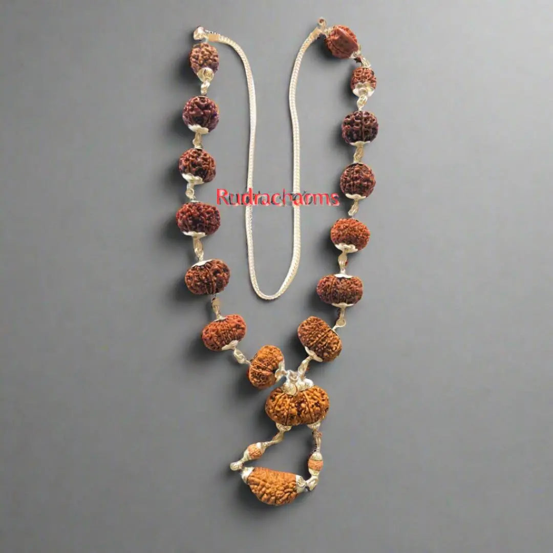 1-14 Mukhi Siddha Mala (1-14 मुखी गणेश, गौरीशंकर सिद्ध माला ) - Rudracharms
