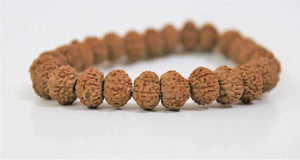 9 Mukhi Rudraksha Bracelet (Indonesian Origin) - Rudracharms
