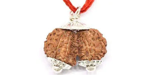 GAURI SHANKAR RUDRAKSHA (गौरीशंकर रुद्राक्ष) - Rudracharms