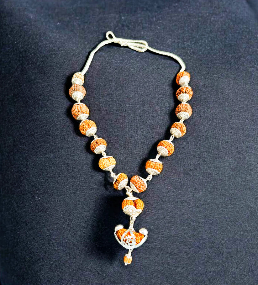 1-14 Mukhi Rudraksha Siddh Mala