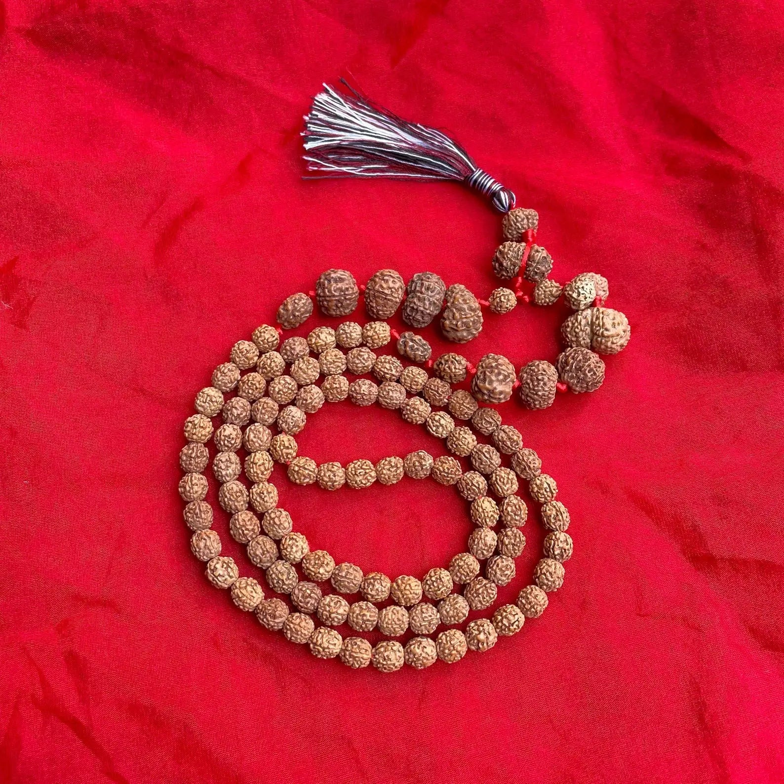 Indonesian Siddha Mala 1-14 Mukhi - Spiritual Beads 14mm-17mm