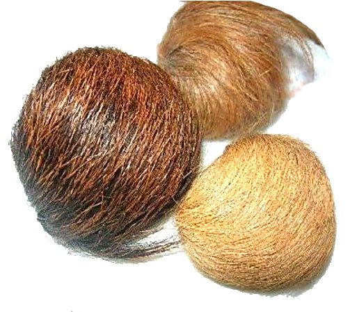 Kasturi Kaya (1 Piece)