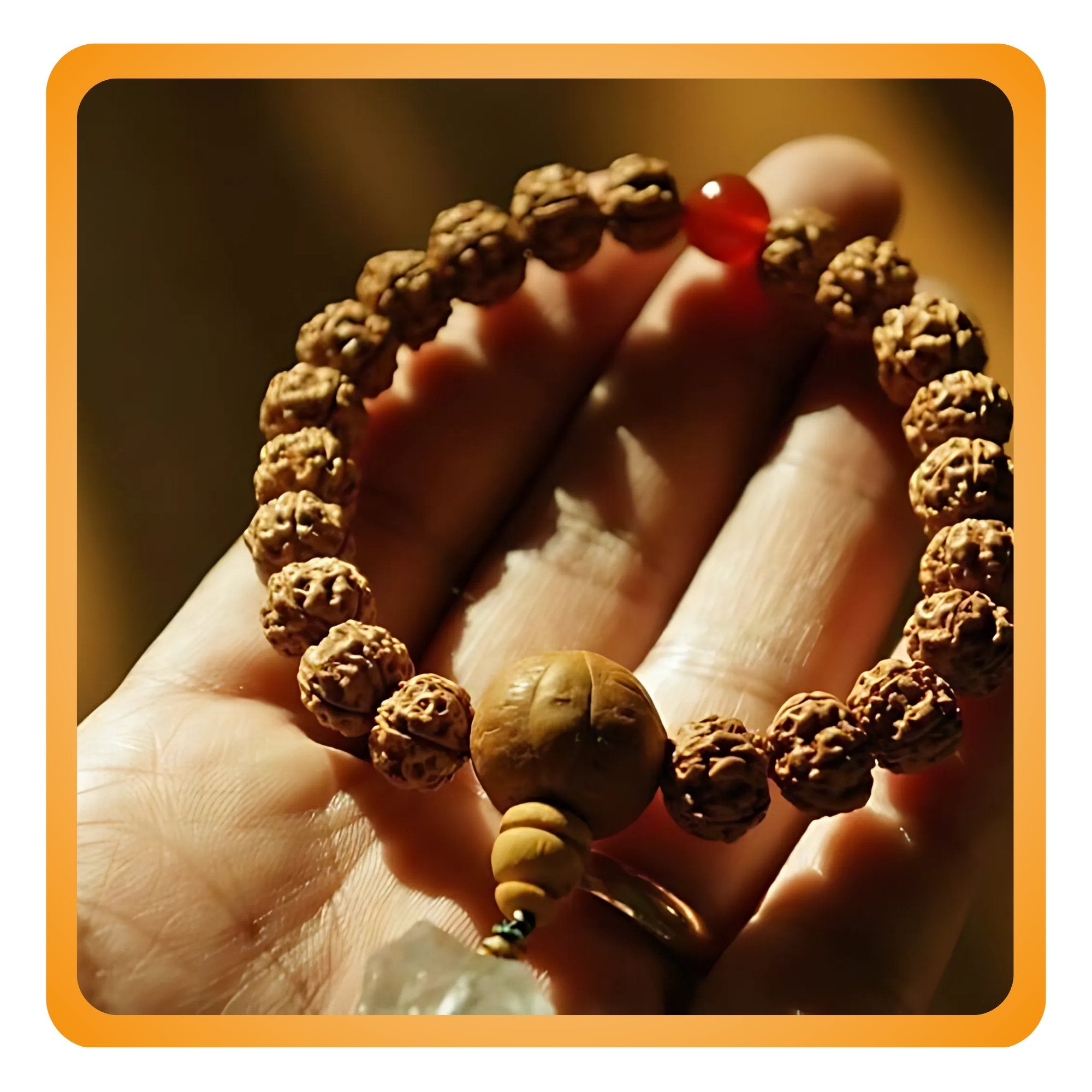 Rudraksha Rudracharms