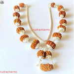 1 - 13 Mukhi Shiv Shakti Rudraksha Mala (Nepal Origin) - Rudracharms