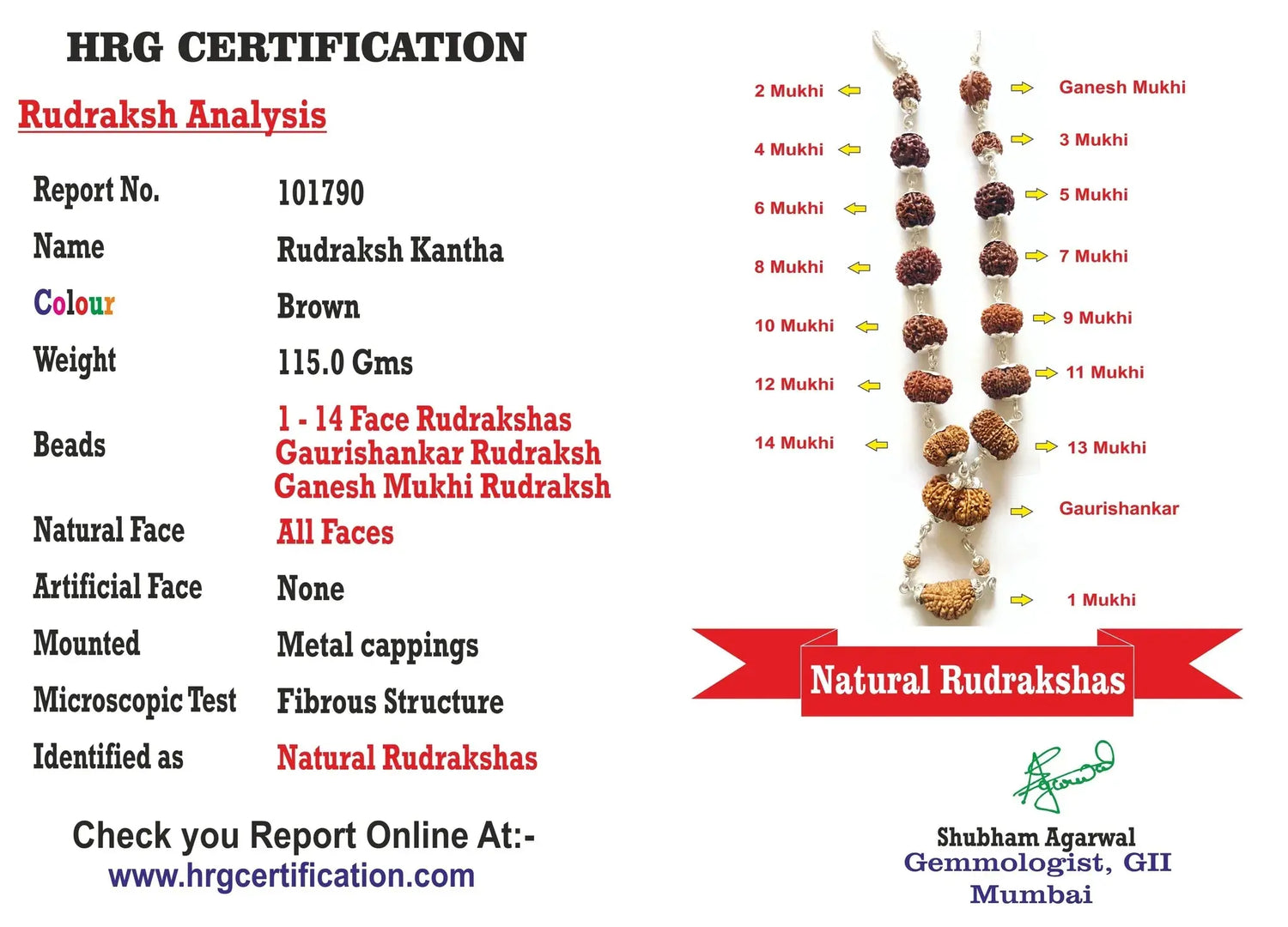 1-14 Mukhi Siddha Mala (1-14 मुखी गणेश, गौरीशंकर सिद्ध माला ) - Rudracharms