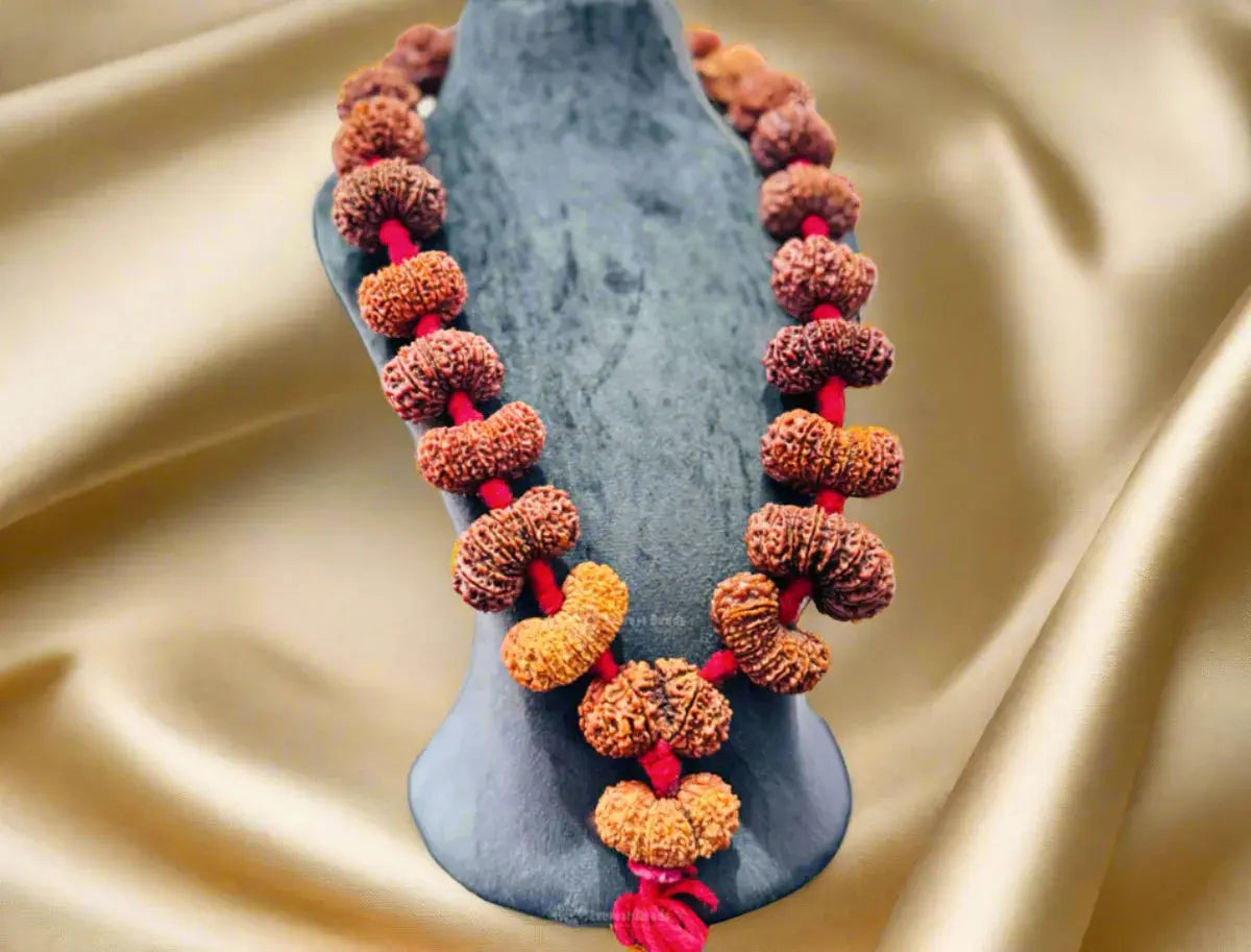 1-21 Mukhi Rudraksha Mala (1-21 मुखी रुद्राक्ष माला) - Rudracharms