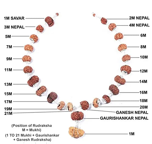 1-21 Mukhi Siddh Mala (1-21 मुखी सिद्ध माला) - Rudracharms