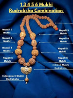 1 3 4 5 6 Mukhi Combination Rudraksha Mala - Rudracharms