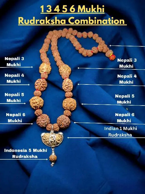 1 3 4 5 6 Mukhi Combination Rudraksha Mala - Rudracharms