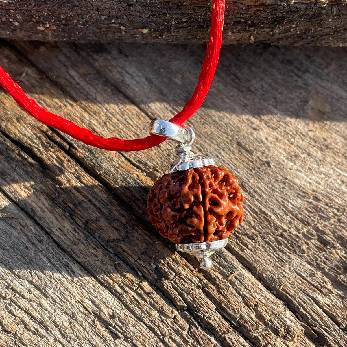 1 MUKHI RUDRAKSHA (एक मुखी रुद्राक्ष) - Rudracharms