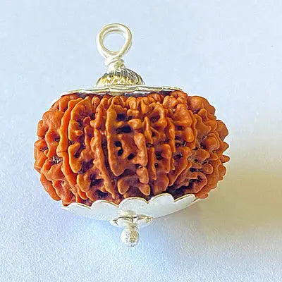 14 Mukhi Rudraksha (चौदह मुखी रुद्राक्ष) - Rudracharms