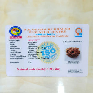 15 MUKHI RUDRAKSHA (15 मुखी रुद्राक्ष) - Rudracharms