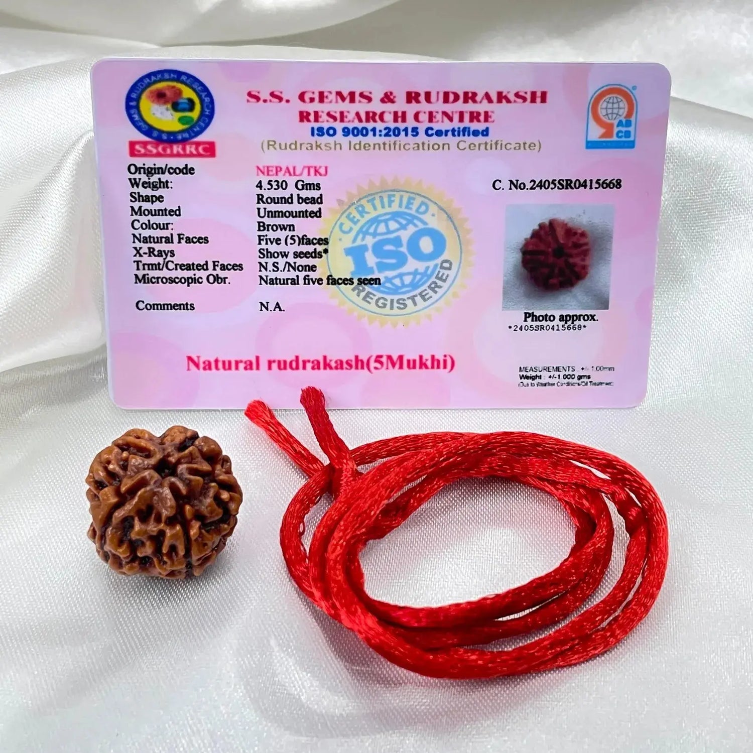 5 Mukhi Rudraksha (पांच मुखी रुद्राक्ष) - Rudracharms