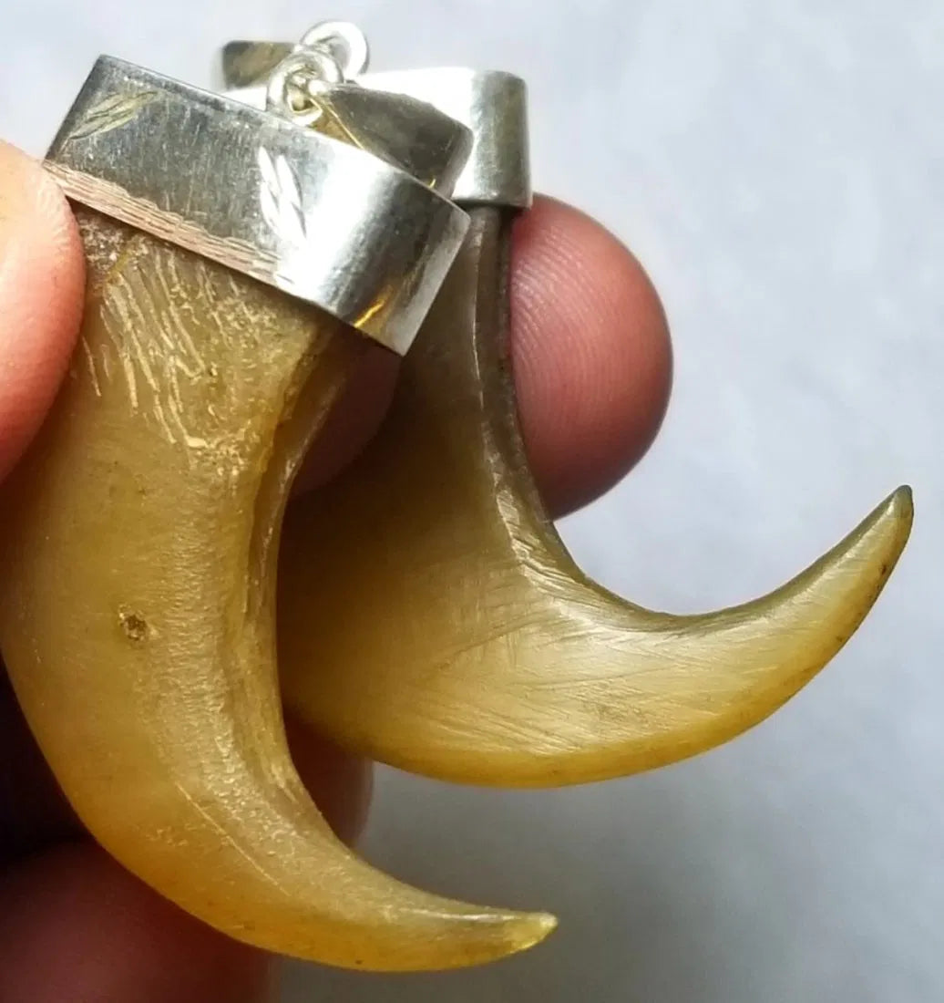 Natural Lion Claw Pair Pendants – Symbol of Power & Protection