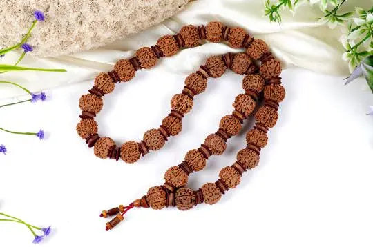 7 Mukhi Nepali Rudraksha Kantha (7 मुखी नेपाली रुद्राक्ष कांठा) - Rudracharms