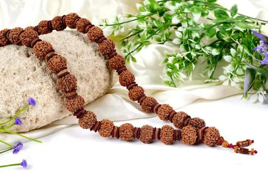 7 Mukhi Nepali Rudraksha Kantha (7 मुखी नेपाली रुद्राक्ष कांठा) - Rudracharms