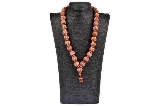 7 Mukhi Nepali Rudraksha Kantha (7 मुखी नेपाली रुद्राक्ष कांठा) - Rudracharms