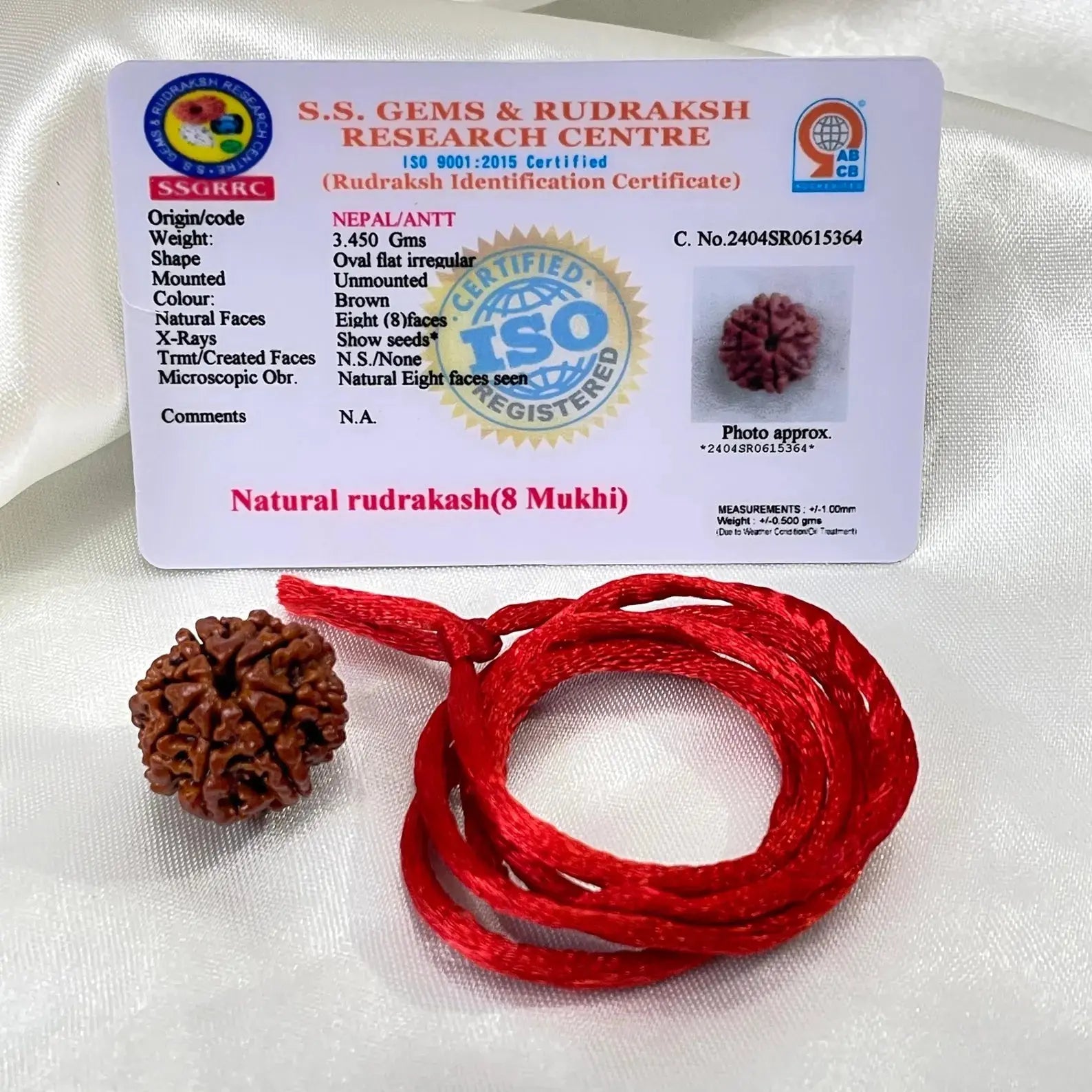 8 Mukhi Rudraksha (आठ मुखी रुद्राक्ष) - Rudracharms