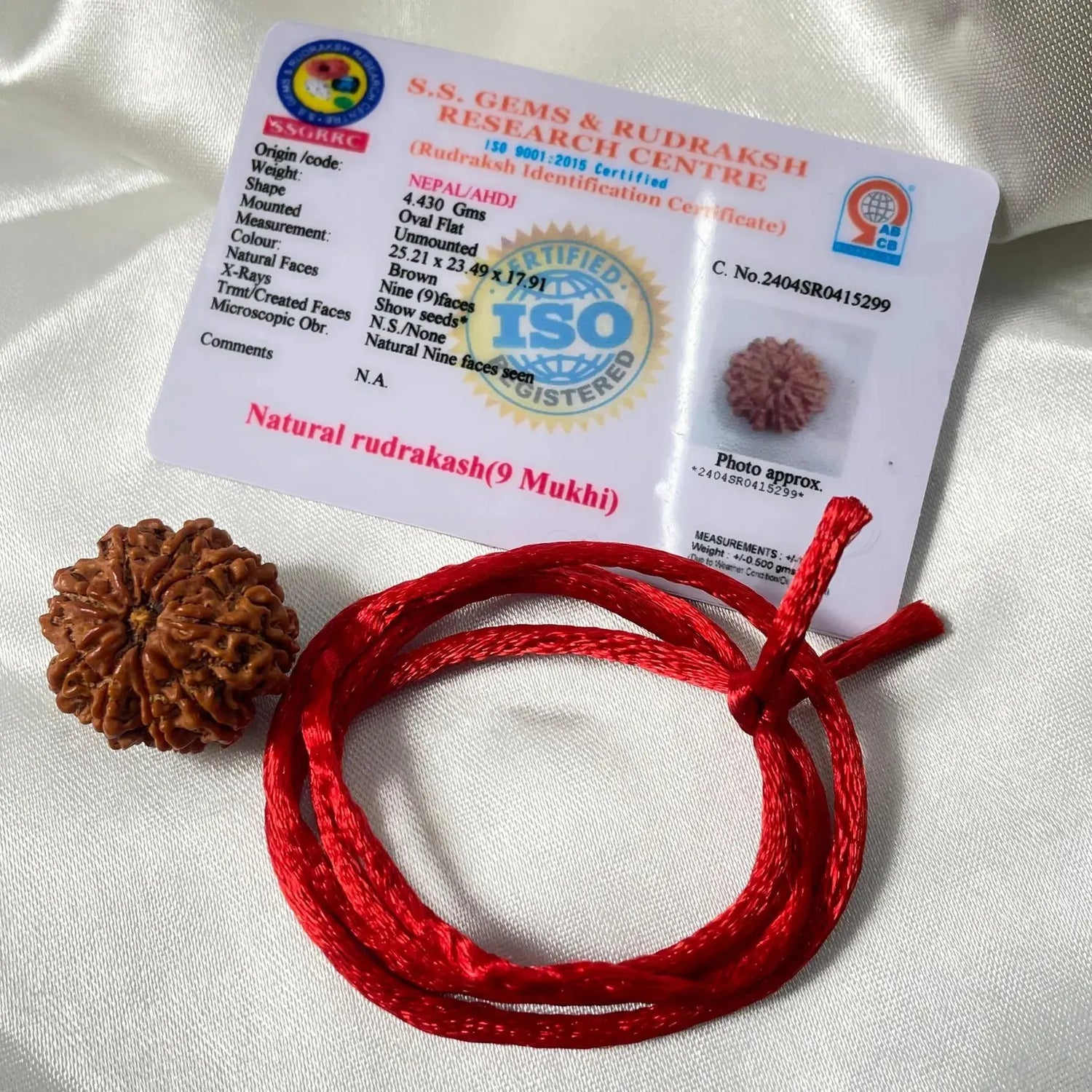 9 Mukhi Rudraksha (9 मुखी रुद्राक्ष) - Rudracharms