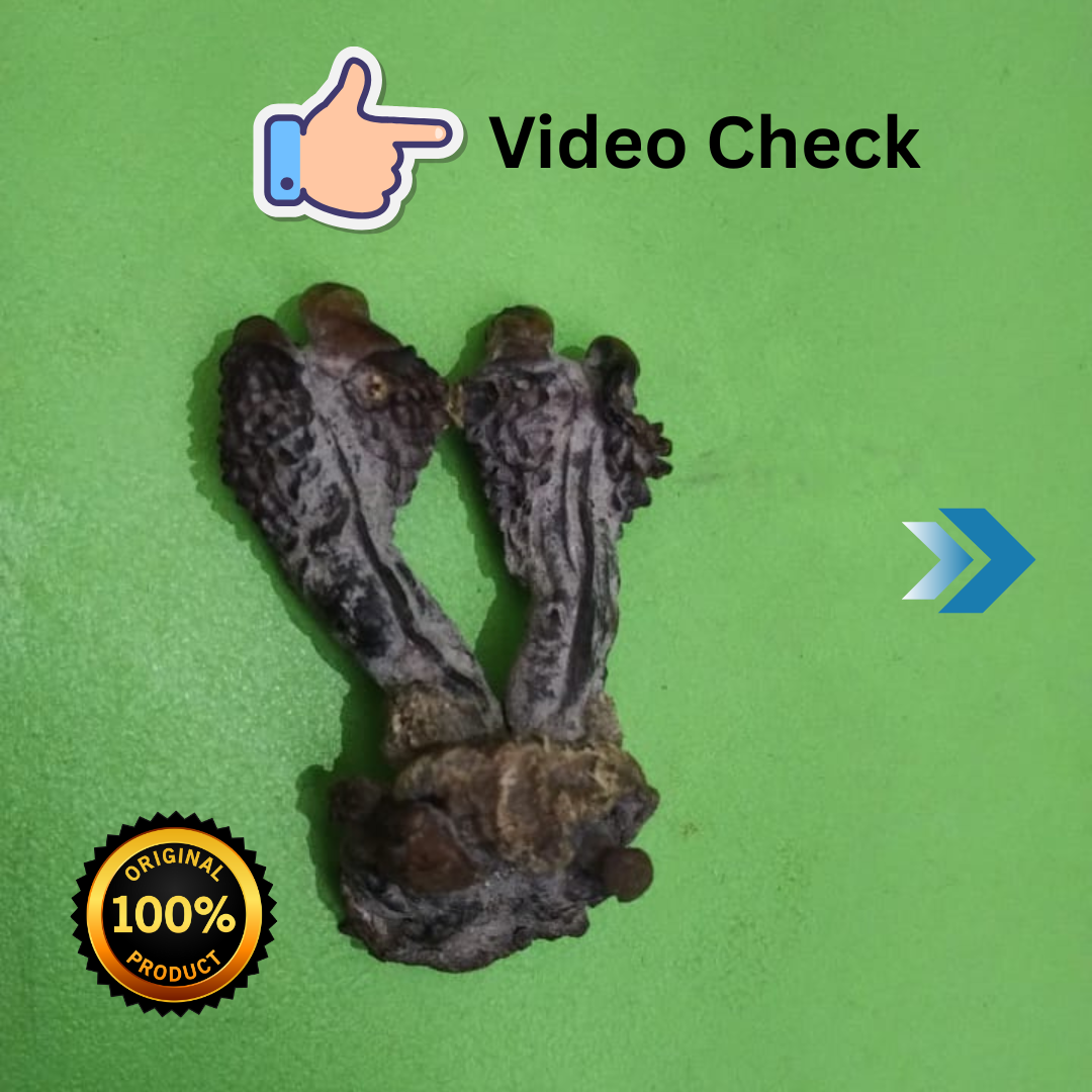 Hatha Jodi - Sacred Root for Protection, Prosperity &amp; Spiritual Energy