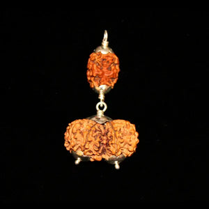 Capricorn (Makara) Combination - Rudracharms