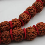 Certified Natural 5 Mukhi Kanthi Rudraksha 54+1 Big Size Beads Mala for Men Women - Rudracharms