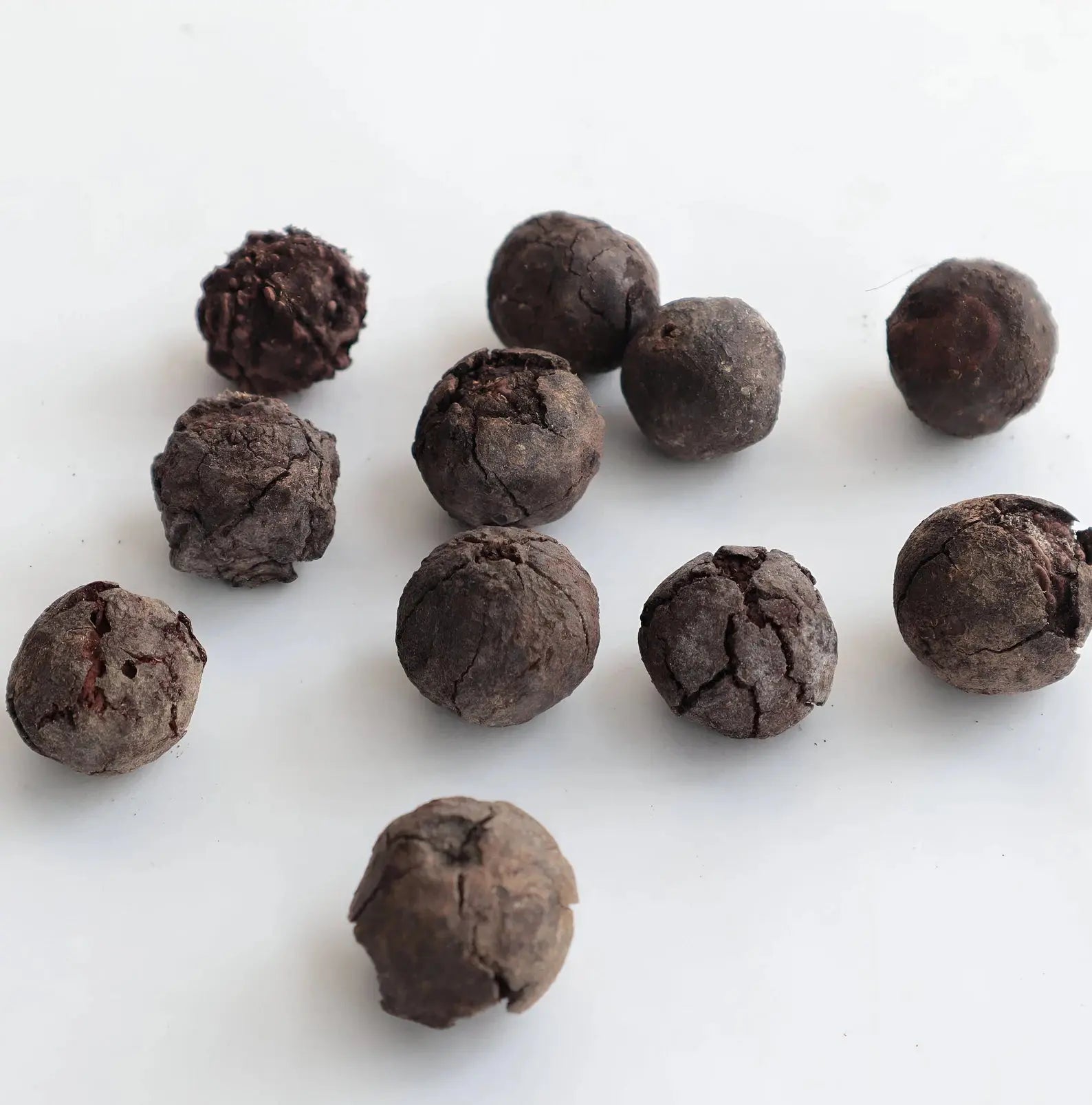 Natural Rudraksha Seeds/Fruit | 100% Real Rudraksha Seeds HandPicked in Nepal - Rudracharms