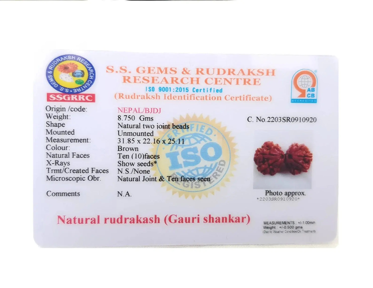 GAURI SHANKAR RUDRAKSHA (गौरीशंकर रुद्राक्ष) - Rudracharms