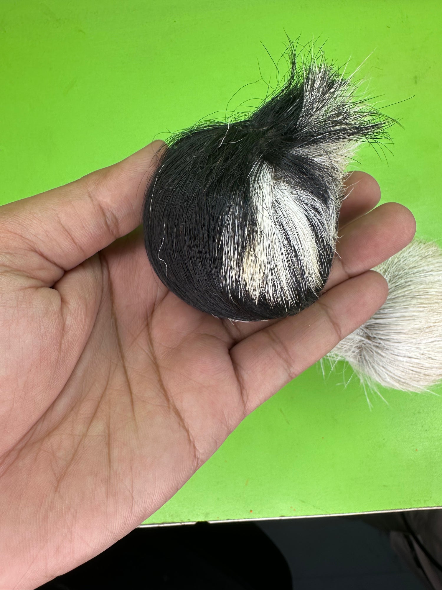ORIGINAL Kasturi musk