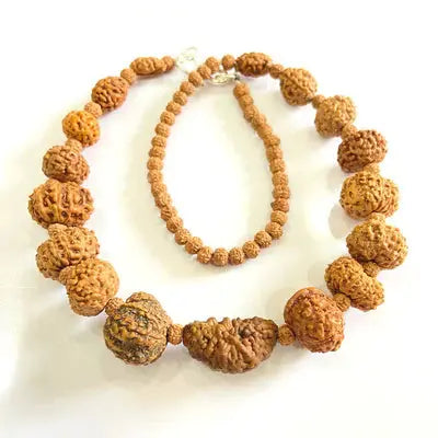 Indonesian 1-14 Mukhi Rudraksha Bracelet - Rudracharms