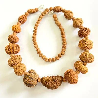 Indonesian 1-14 Mukhi Rudraksha Bracelet - Rudracharms