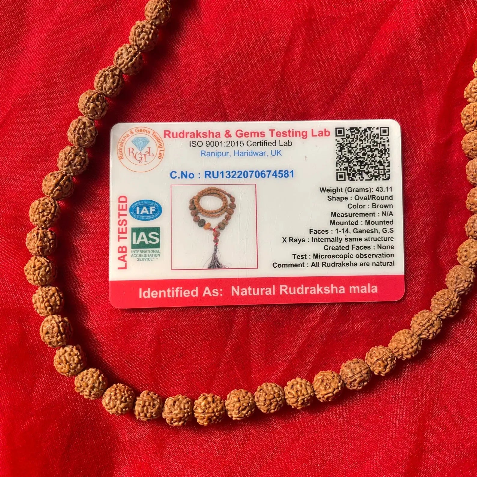 Indonesian Siddha Mala 1-14 Mukhi, Size 14mm-17mm - Rudracharms