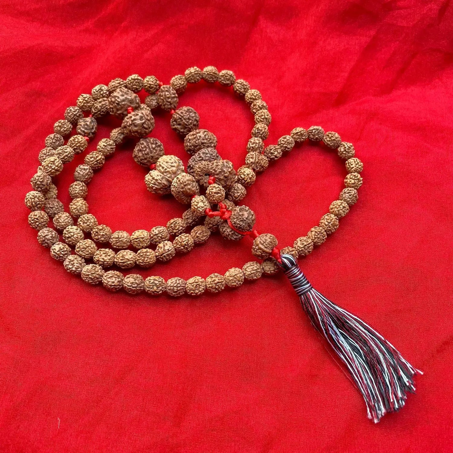 Indonesian Siddha Mala 1-14 Mukhi, Size 14mm-17mm - Rudracharms