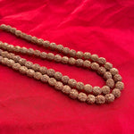 Indonesian Siddha Mala 1-14 Mukhi, Size 14mm-17mm - Rudracharms