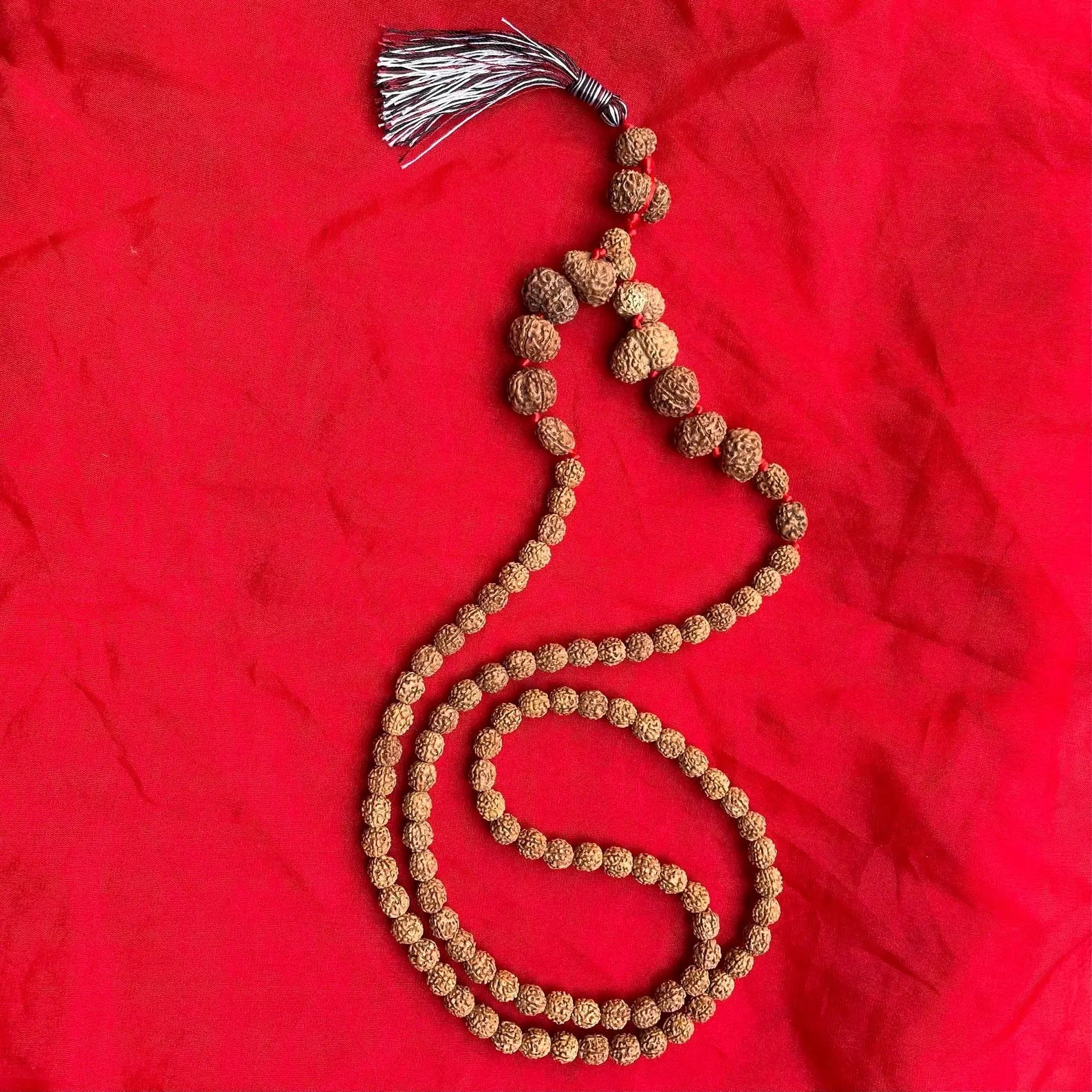 Indonesian Siddha Mala 1-14 Mukhi, Size 14mm-17mm - Rudracharms