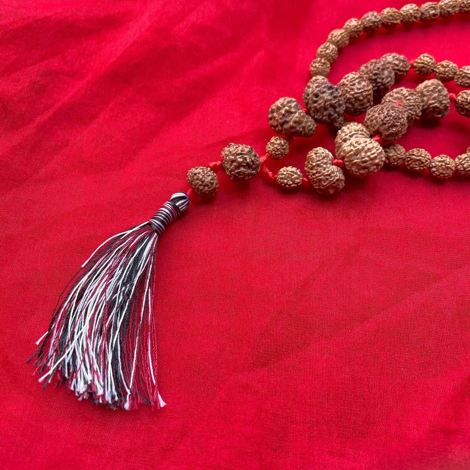 Indonesian Siddha Mala 1-14 Mukhi - Spiritual Beads 14mm-17mm