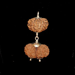 Leo (Simha) Combination - Rudracharms