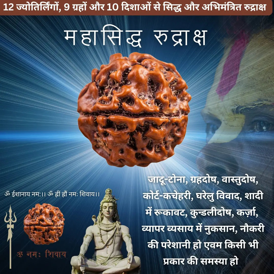 Mahasiddha Rudraksha -महासिद्ध रुद्राक्ष - Rudracharms