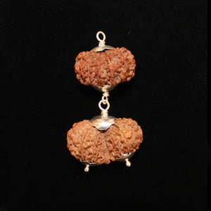 Scorpio (Vrischika) Combination - Rudracharms
