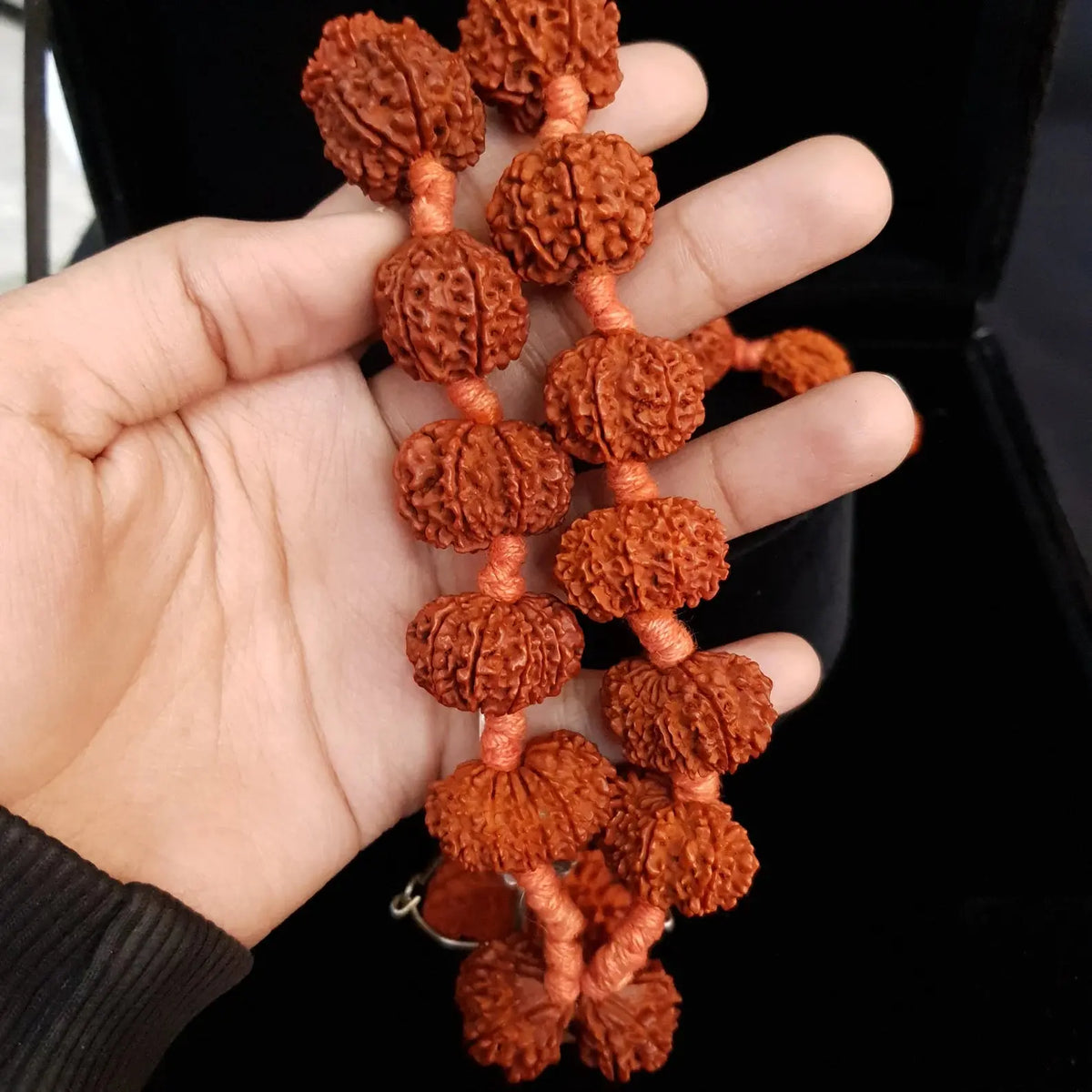 Siddha Mala, 1 to 14 Mukhi Rudraksha, NEPAL Beads Certified - Rudracharms