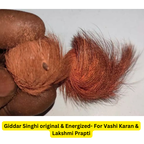 Siyar singhi- Giddar Singhi original & Energized- For Vashi Karan & Lakshmi Prapti