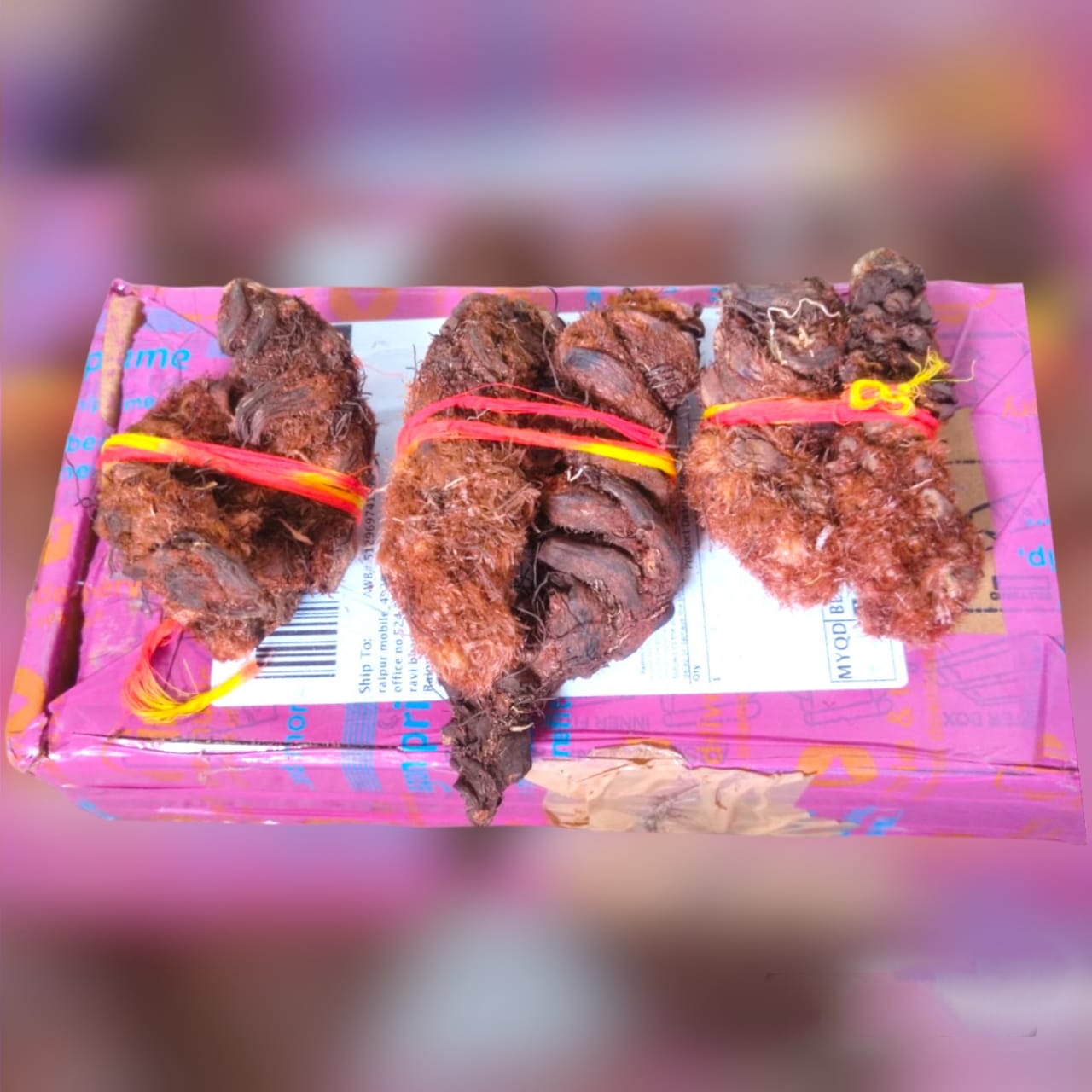 Hatha Jodi - Sacred Root for Protection, Prosperity &amp; Spiritual Energy