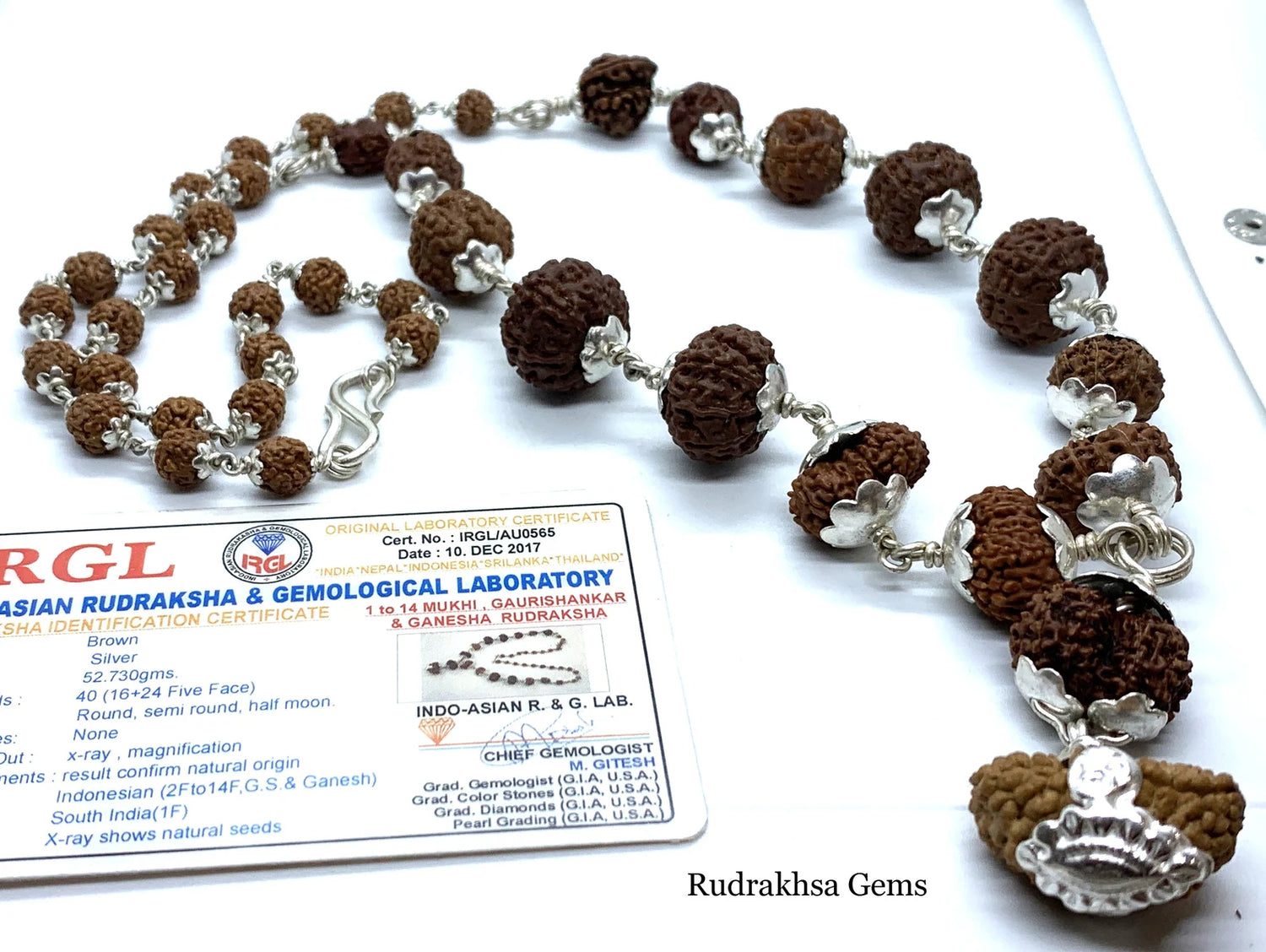 1-14 Mukhi Siddha Mala/Rudraksha Mala