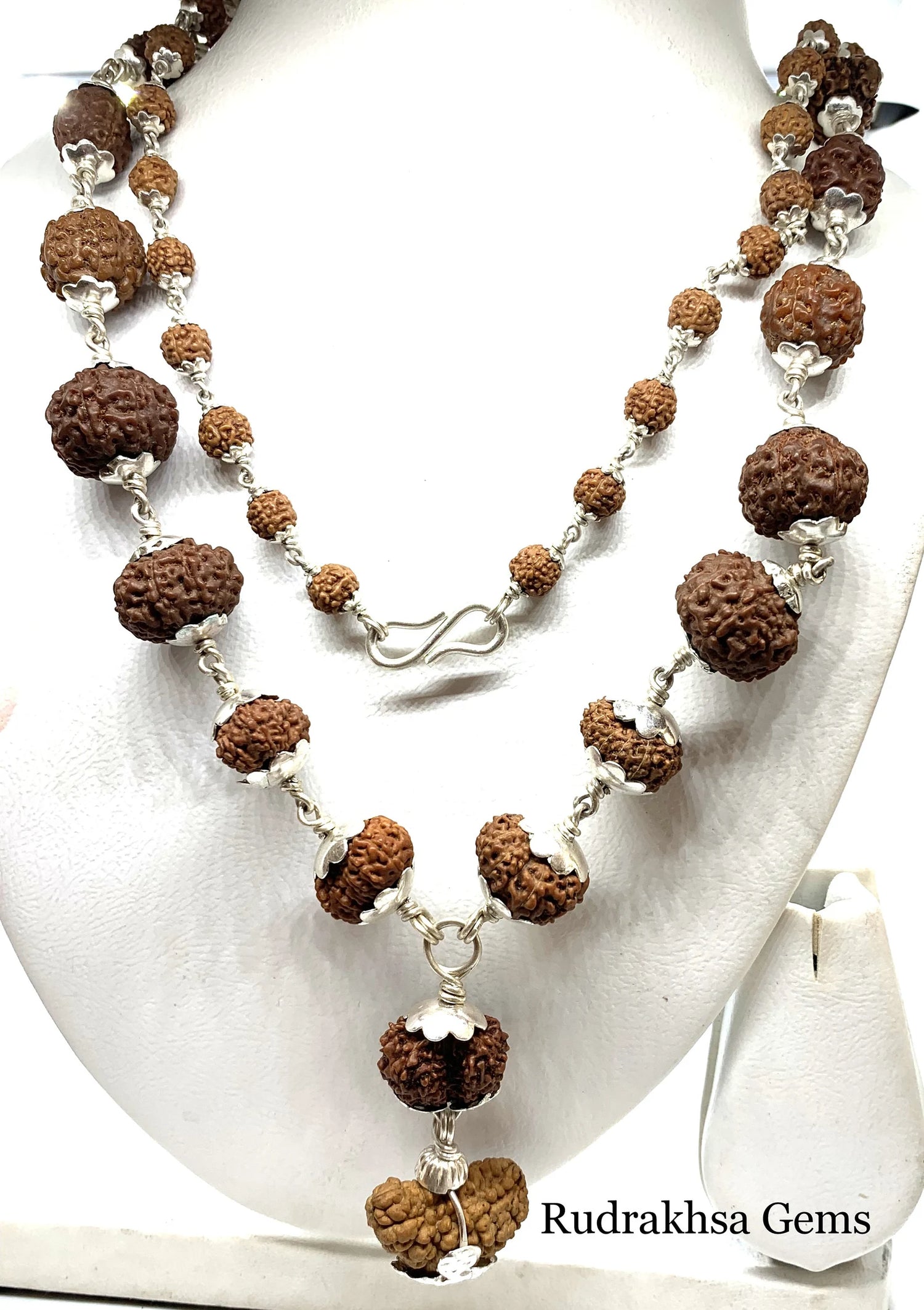 1-14 Mukhi Siddha Mala/Rudraksha Mala