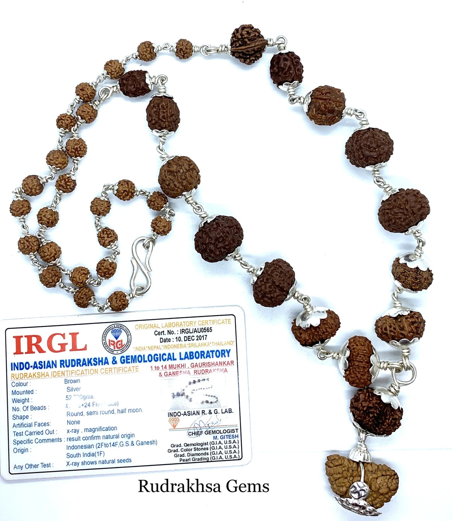 1-14 Mukhi Siddha Mala/Rudraksha Mala