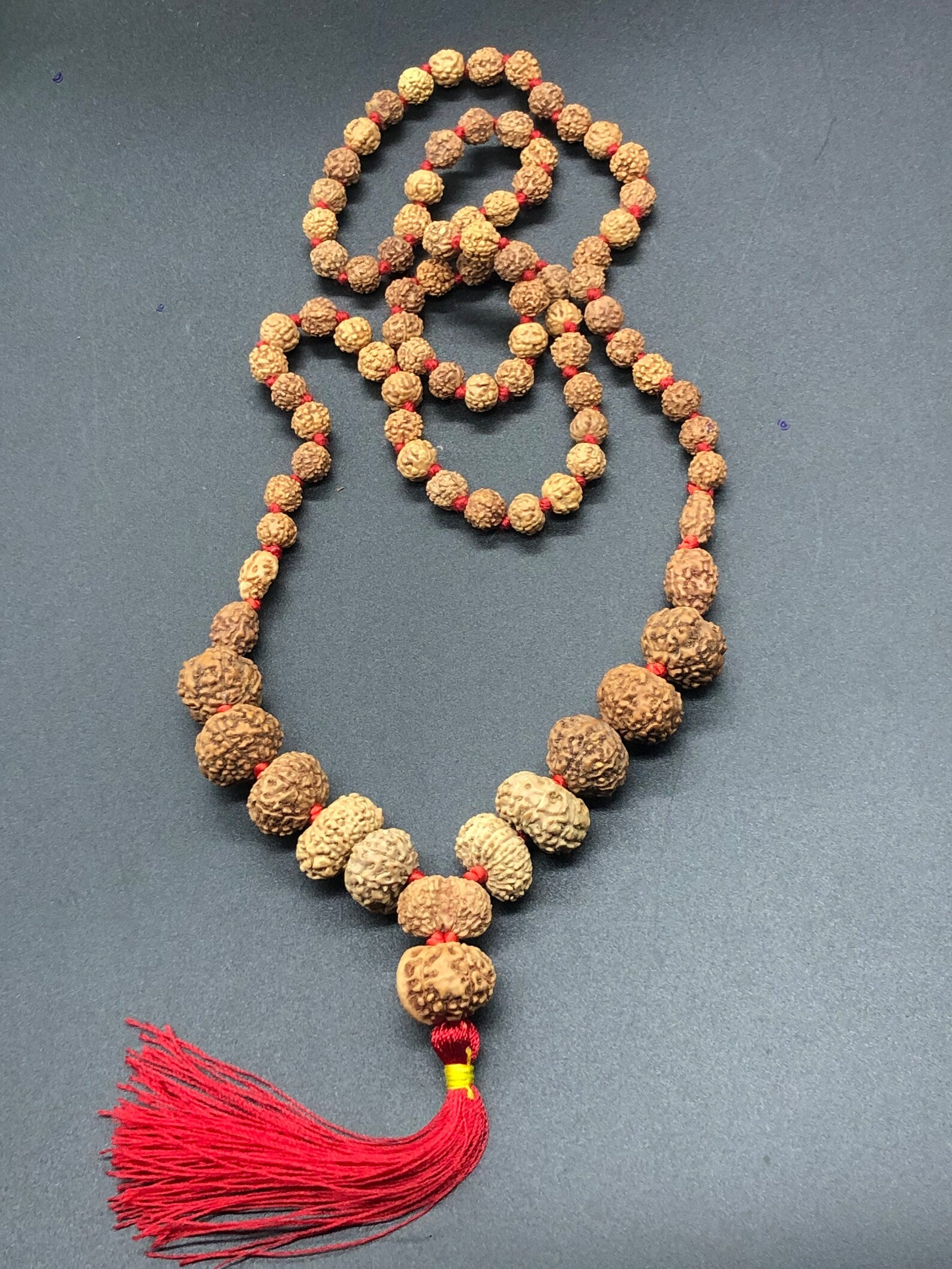 Indonesian Siddha Mala 1-14 Mukhi, Ganesh, Gaurishankar Medium Size 14mm-17mm With Lab Certificate Original Beads - Rudra Charms