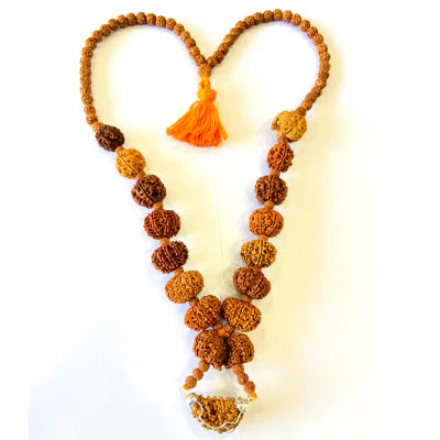 Sidha Mala, 1 to 14 Mukhi Rudraksha, NEPAL Beads Certified - Rudra Charms