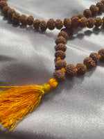 7 Mukhi Rudraksha Mala (7 मुखी रुद्राक्ष माला)