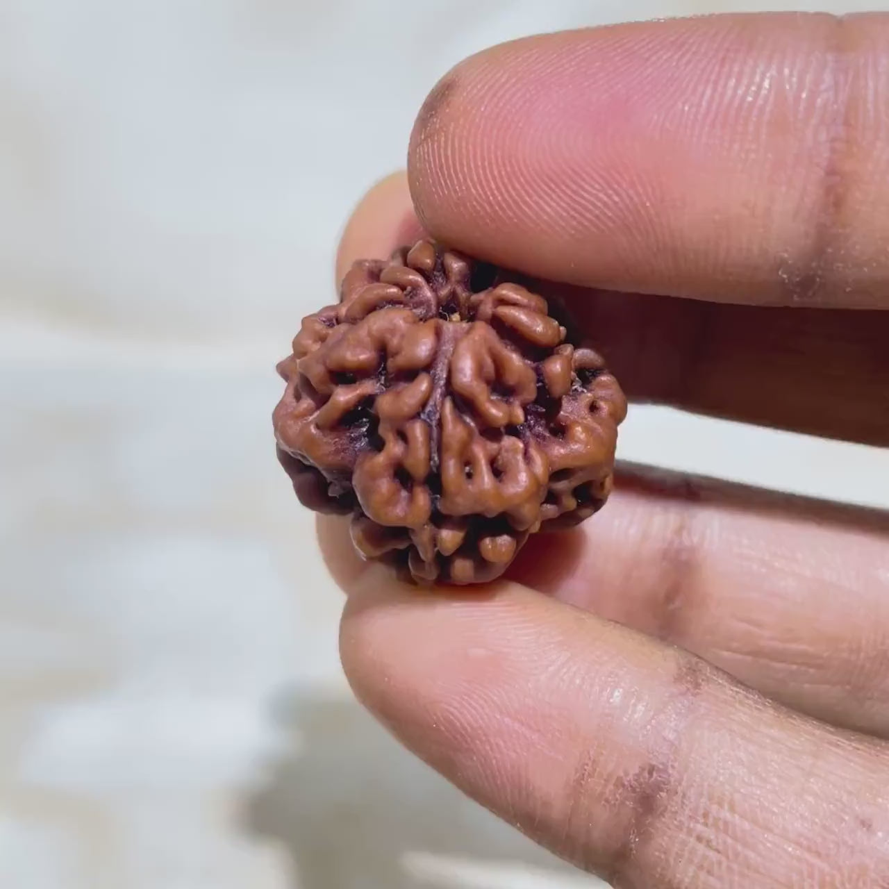 1 एक मुखी रुद्राक्ष (1 Mukhi Rudraksha)